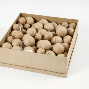 Weihnachstkugeln